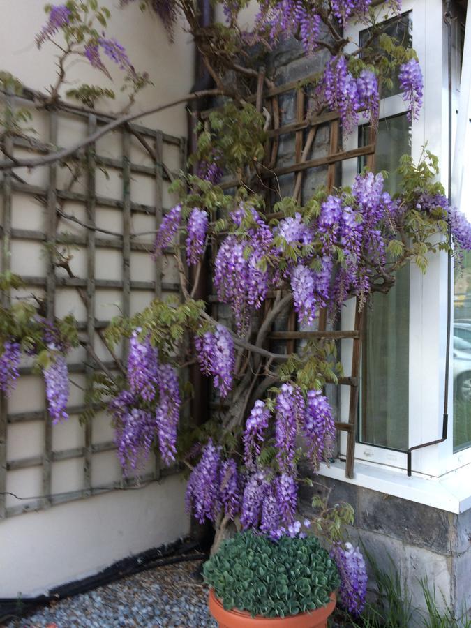 Hotel Hotel Vezzano Vezzano (Trento)